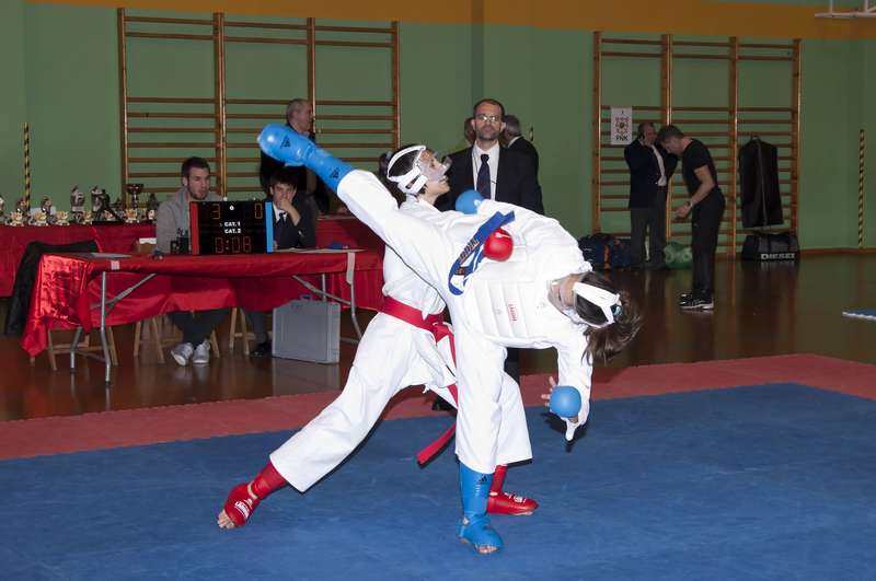 III Edición del Open Navarro de Karate